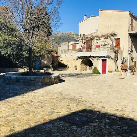 Belle Piscine Vue Mer Vila *
